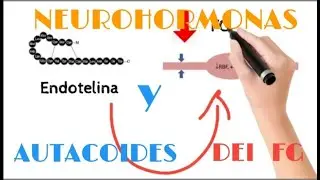 FIltrado Glomerular: Neurohormonas - Autacoides Intrarrenales