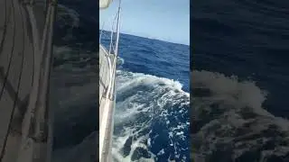 Мабель и безбрежный Океан!