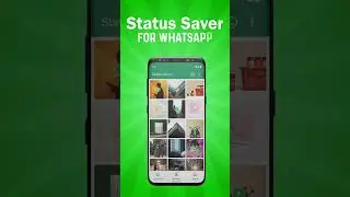Never Miss a WhatsApp Status Update Again with Status Saver for WhatsApp - Download Now!