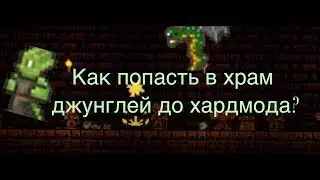 Как попасть в храм джунглей до хармода