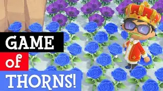 INCREASED chance to get Blue Roses and Green Mums in ACNH - extensive guide