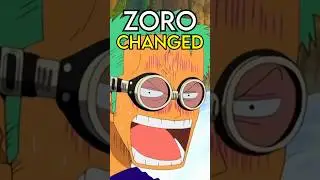 Zoro CHANGED so much Post-Timeskip