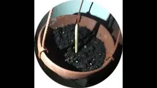 тгк:/enoticclimedava           Ссылка на соц-сети в описание