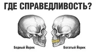 Не ищите справедливости! Андрей Курпатов на QWERTY
