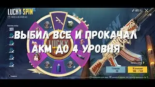Выбил все с рулетки АКМ Пустынная окаменелость за 16000 юц PUBG Mobile