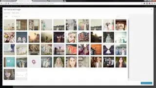 Creating a Profile - Lily WordPress Wedding Theme