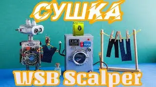 Сушка робота Wall Street Bot Scalper. WSB Scalper