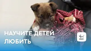 Научите детей любить