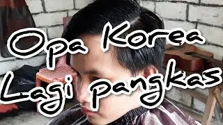 Opa opa korea lagi pangkas rambut