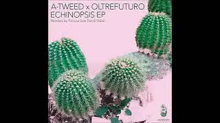 A Tweed X Oltrefuturo - Echinopsis