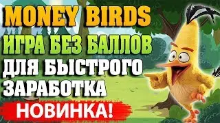 Money-birds.one обзор новой игры с выводом денег без баллов.Страховка 3000 рублей !