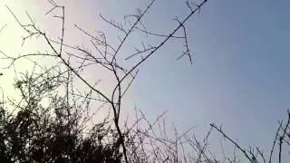Liquidando incendio palma 5-1