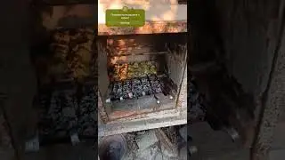 Шашлик з курки з петрушкою