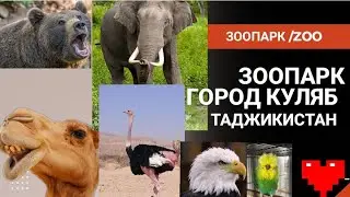ЗООПАРК ГОРОД КУЛЯБ ТАДЖИКИСТАН/AMAZING ZOO TOWN KULOB TAJIKISTAN/حديقة مذهلة في مدينة قلب طاجيكستان