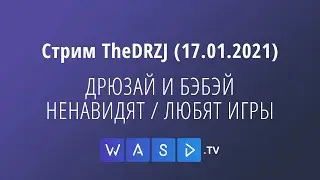 ДРЮЗАЙ И БЭБЭЙ НЕНАВИДЯТ/ЛЮБЯТ ИГРЫ - Стрим TheDRZJ (17.01.2021)