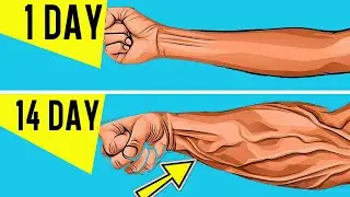 3 Exercises for FOREARM | Workout At Home