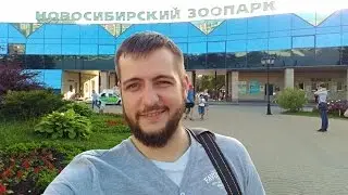 Приключение в Новосибирском Зоопарке | Рекомендую!
