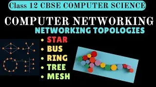 Network Topology(Bus Topology, Star Topology, Ring Topology, Tree Topology)|Class12 Comp Sci CBSE