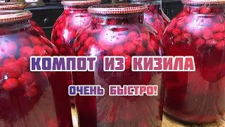Много компота из кизила очень быстро!