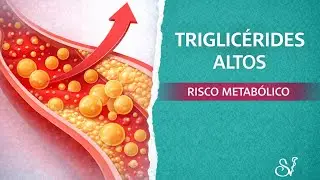Triglicérides altos: causas e tratamentos