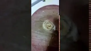 Paratha making