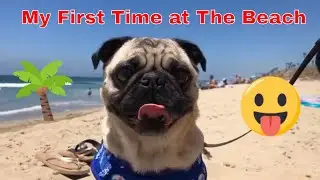 My First Time at the beach