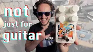 Electro-Harmonix Canyon – Every Setting, Every Instrument | Tour & Jam