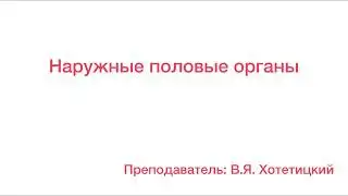 Видеолекция 