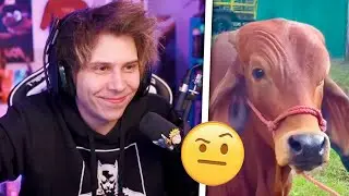 RUBIUS Reacciona a MEMES RANDOMS