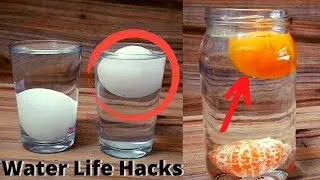 Water Life Hacks - 4 Stunning Experiments with Eggs , Mandarin