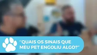 QUAIS OS SINAIS QUE MEU PET ENGOLIU ALGO?