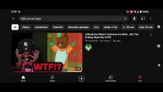 Why Everyone Hates Little Brown Bear. (Including me)