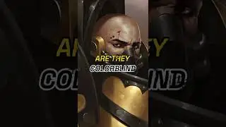 Space Marines Don't Like Primaris Marines