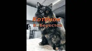 В  Берестов  Котёнок  
