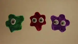 ДискоМакс