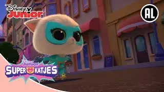 🎹 Piano problemen! | Super Katjes | Disney Junior BE