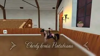 Chody konia Pintabiana - Sandria SSO~ [STAR STABLE] 🐴💕❤