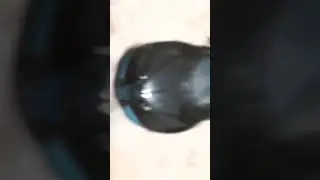5 ноября 2024 г.
