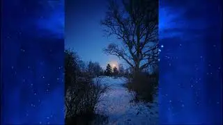 Любовь и Страсть. Огонь, пламя и сила слова Вершителя. Глава четвертая.