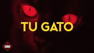 REGGAETON INSTRUMENTAL​ 🐱      ​​​​ ​​​​​​​​​​​​​​​​​​​​​