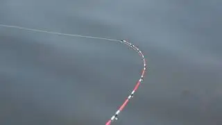 Ни рыбы ни грибов.