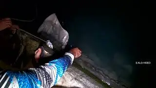 КОРМЛЮ СКАТА