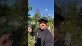 Сегодня День Рождение Фомкина Алексея | Могила Пустая  ✞ Уборщик  могил ✞ Твоя Душа ✞ #уборкамогил