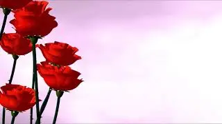 Animated Roses Background Video Effect for Title Intro