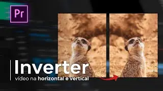 Como INVERTER (Espelhar) seu vídeo no Premiere (Rapidamente!)
