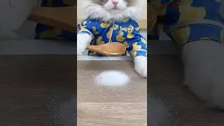 There is no way you want to skip this 