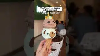 The Cutest Ice Cream in the Midwest! Eli’s Ark Gelato Shop in Chicago, IL #midwest #chicago