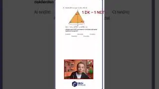 1 DK =1 NET