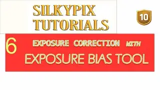 CORRECTING EXPOSURE WITH EXPOSURE BIAS TOOL  IN SILKYPIX STUDIO PRO 10. TUTORIALS FOR BEGINNERS