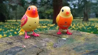DigiBirds: Daffodils.